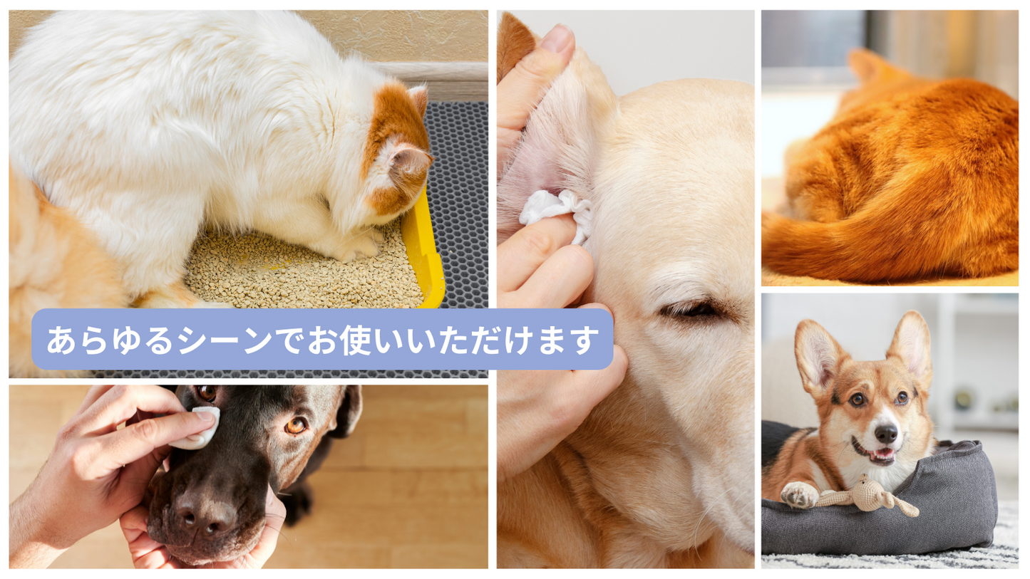 ペットビーオリジナル除菌・消臭 肌に優しい安心感【弱酸性次亜塩素酸水】20L業務用