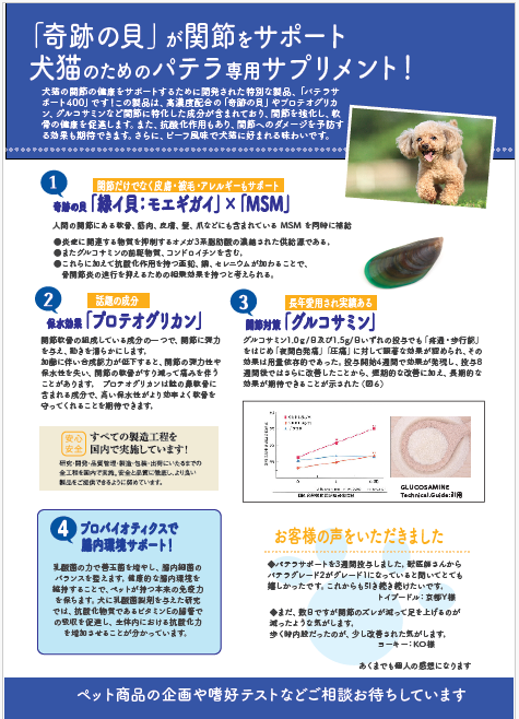 膝蓋骨脱臼対策パテラサポート400 60g【追跡メール便配送】