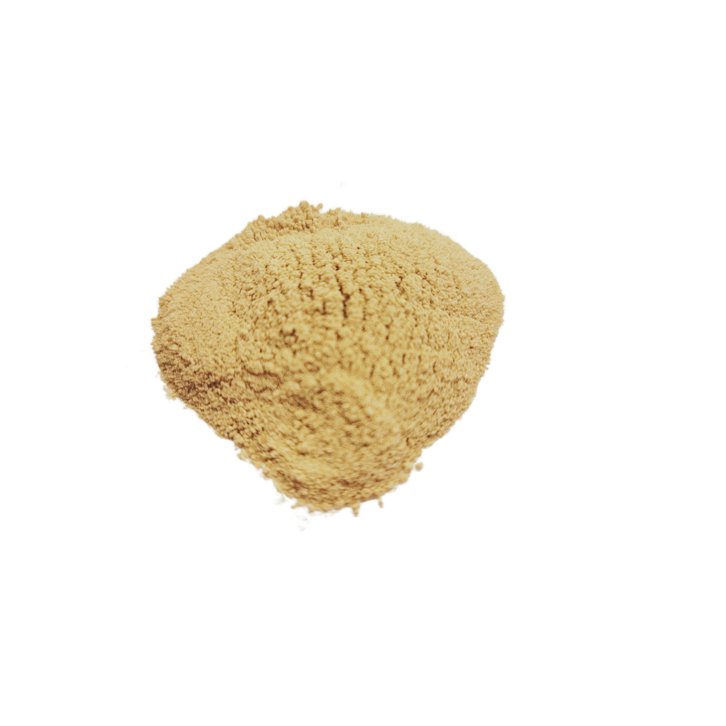 パテラ粉末.png__PID:4c6dc39c-4831-43d1-9b80-f1124bb48efd