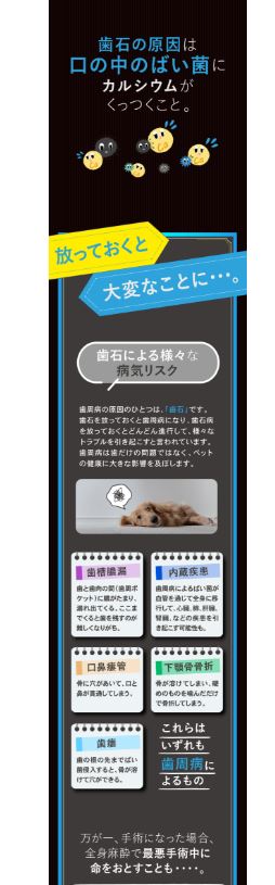 【効果実証済み】ペットの健康維持に!水道水からつくるマウスケアウォーター生成器!