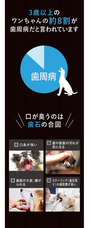 【効果実証済み】ペットの健康維持に!水道水からつくるマウスケアウォーター生成器!