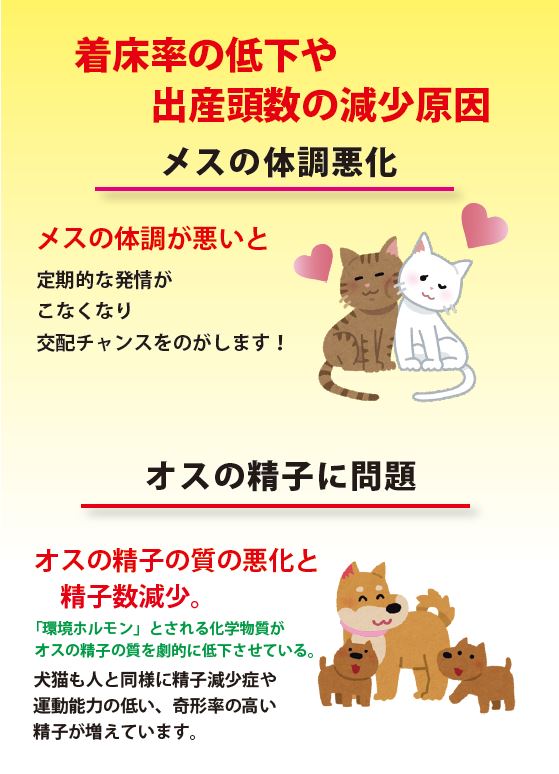 繁殖促進！犬猫用活力サポート120ｇ【追跡メール便配送】