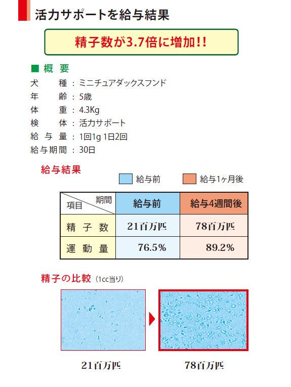 繁殖促進！犬猫用活力サポート120ｇ【追跡メール便配送】