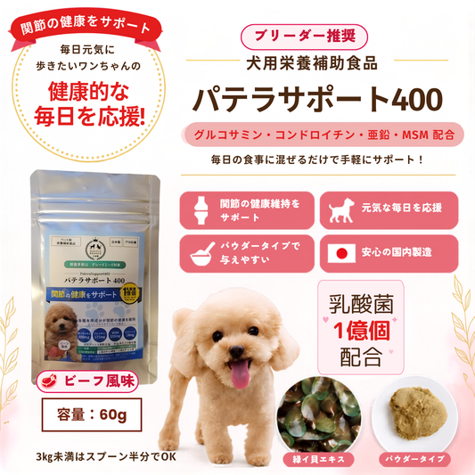 膝蓋骨脱臼対策パテラサポート400 60g【追跡メール便配送】