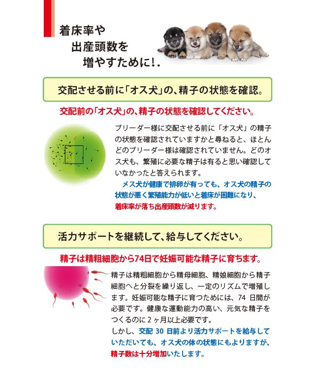 繁殖促進！犬猫用活力サポート120ｇ【追跡メール便配送】