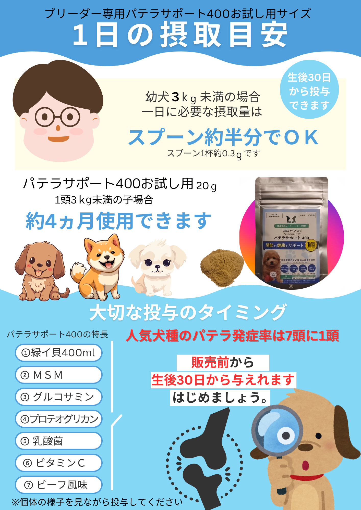 膝蓋骨脱臼対策パテラサポート400 60g【追跡メール便配送】