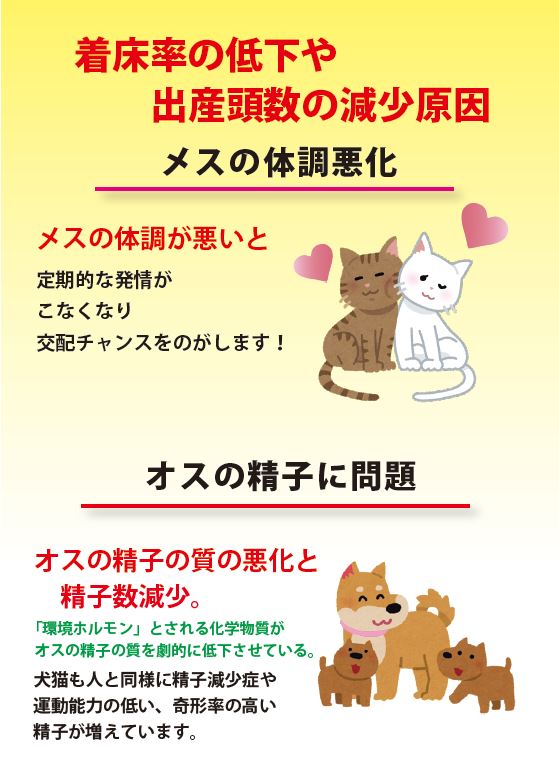 繁殖促進！犬猫用活力サポート500ｇ – 株式会社ペットビー