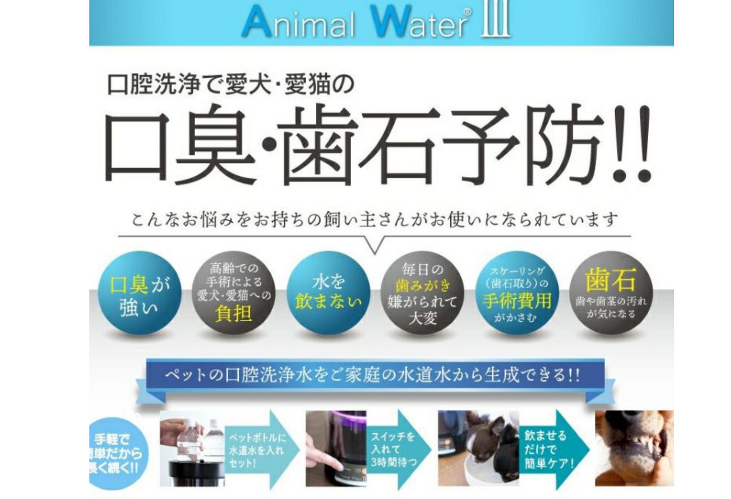 【効果実証済み】ペットの健康維持に！水道水からつくるマウスケアウォーター生成器！